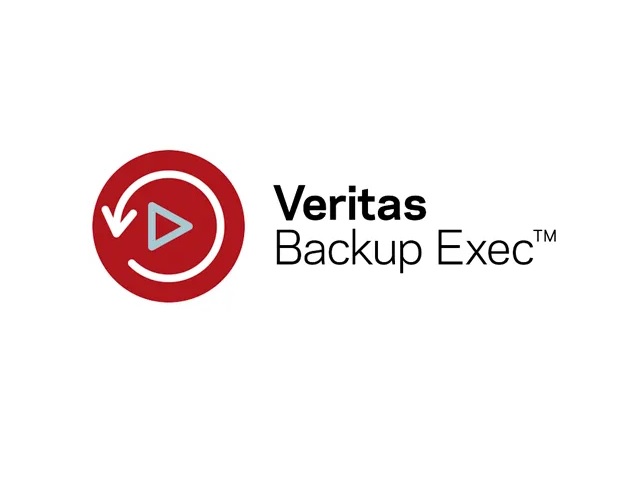 Veritas 软件 13131-M0008